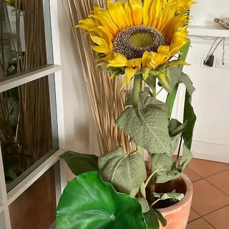 Appartamento Favolosa Il Girasole - Anja's Talot *